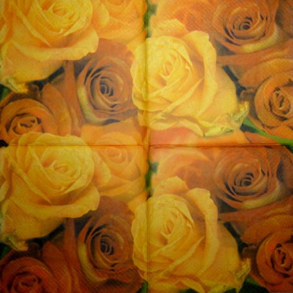 528 Rosen - 3-lagig - Avantgarde - CS